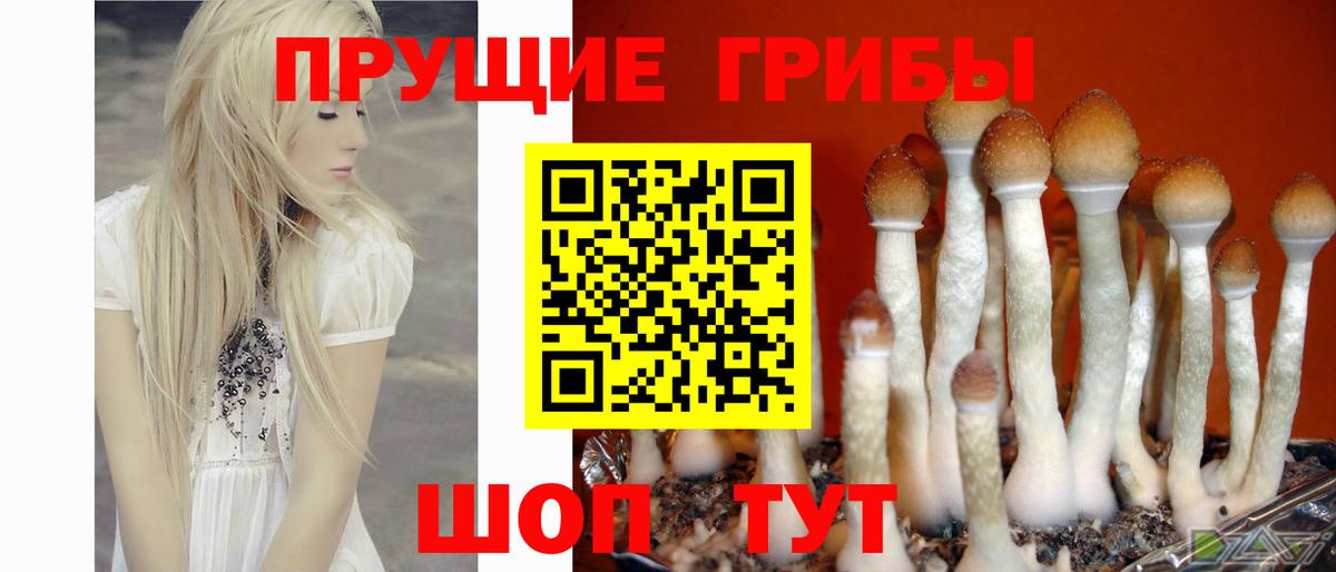 Галлюциногенные грибы Magic Shrooms Зеленодольск