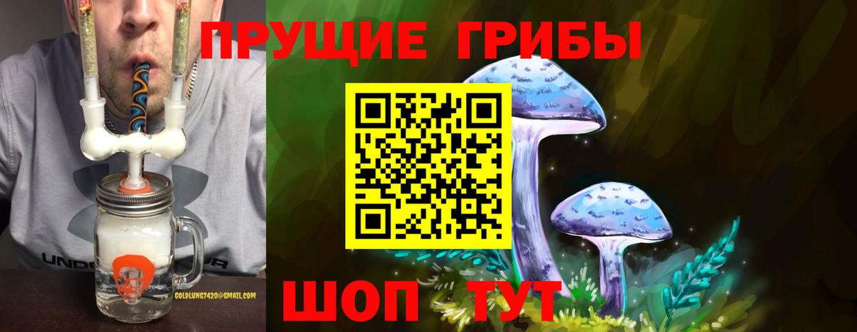 Зеленодольск  Галлюциногенные грибы Psilocybine cubensis  Вход с VPN  Галлюциногенные грибы MAGIC MUSHROOMS 